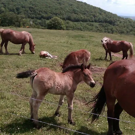 Le Cintrium Oda ve Kahvaltı