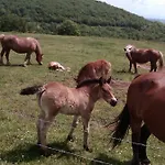 Le Cintrium Отель типа 