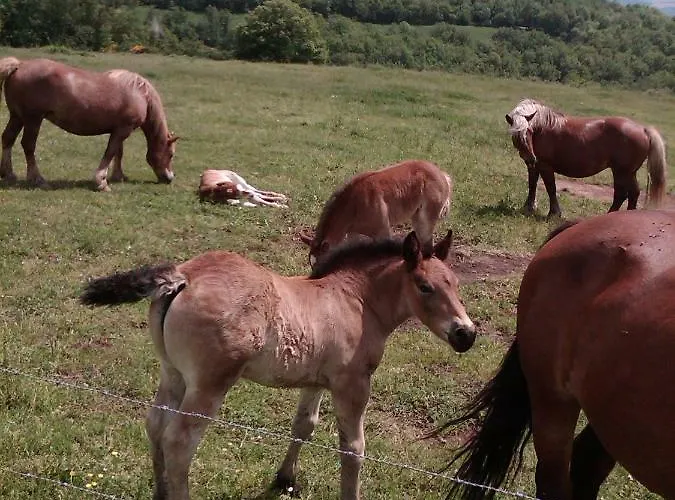 Le Cintrium Bed and Breakfast